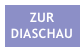 ZUR DIASCHAU